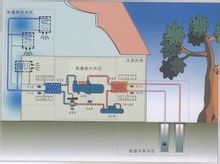 室內(nèi)恒溫泳池 